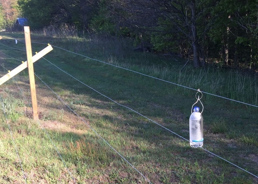 Black stem borer alcohol trap